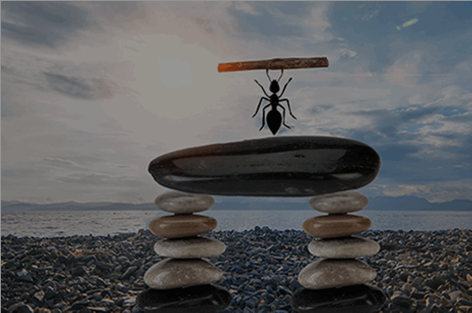 稳健发展之道 革新科技之魂